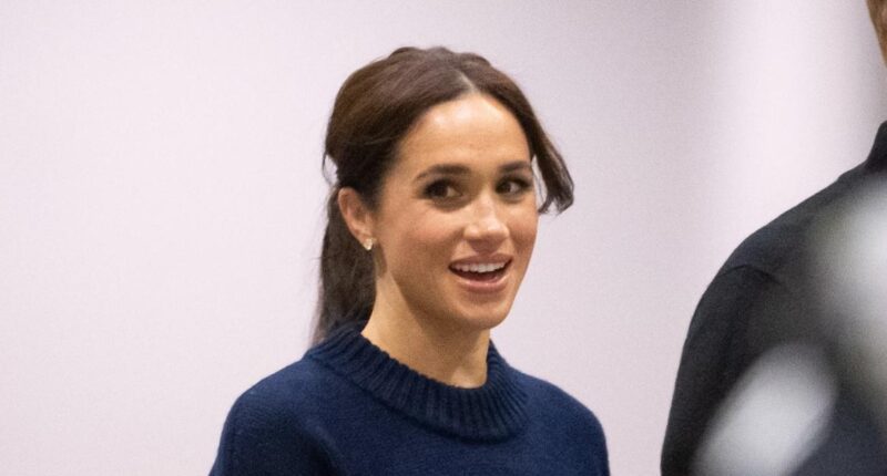 Meghan Markle Shares Rare Photo of Princess Lilibet on New Website