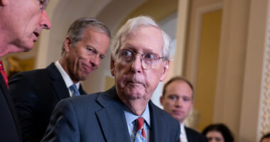 Mitch McConnell, 82, has to be ‘hoisted’ out of wheelchair for vote as replacement push heats up & GOP rep eyes his seat