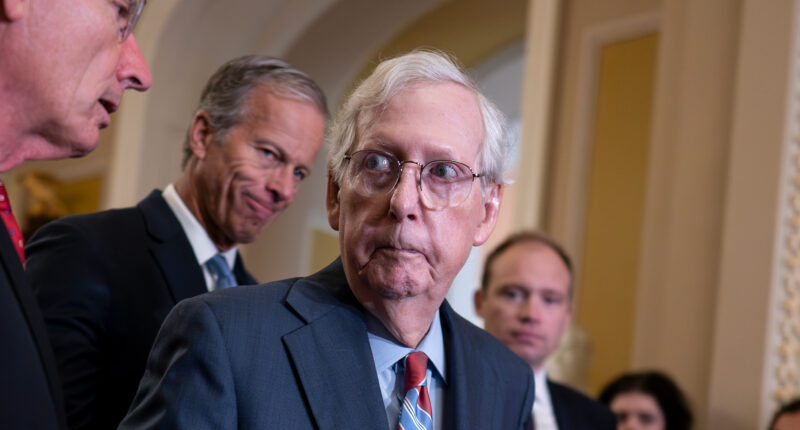 Mitch McConnell, 82, has to be ‘hoisted’ out of wheelchair for vote as replacement push heats up & GOP rep eyes his seat