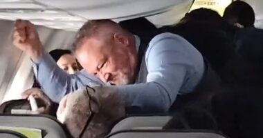 Moment Alaska Airlines flight attendant restrains screaming passenger who grabbed woman's hair