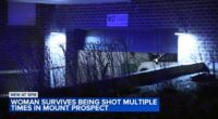 Mount Prospect attempted murder-suicide: Woman survives being shot 11 times by ex-boyfriend Michael Work at condo building: Mayor