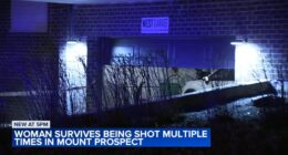 Mount Prospect attempted murder-suicide: Woman survives being shot 11 times by ex-boyfriend Michael Work at condo building: Mayor