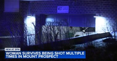 Mount Prospect attempted murder-suicide: Woman survives being shot 11 times by ex-boyfriend Michael Work at condo building: Mayor