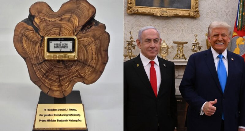 Netanyahu gifts Trump controversial item that helped turned tide in war against Hezbollah