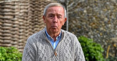 Parish council chairman of Norfolk resort town dubbed 'Chelsea-on-Sea' QUITS after 'witch hunt' when he said there was 'genuine hatred' for second-home-owning Londoners turning the area into a soulless 'Center Parcs'