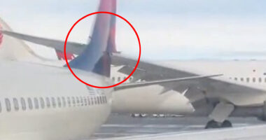 Plane crashes into packed Delta jet at Seattle airport & slices through aircraft just days after mid-air collision in DC