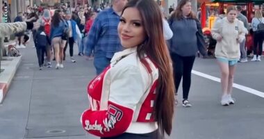 Plus-size influencer who needs two seats on Disneyland ride fumes as visitors 'stare and secretly film her'