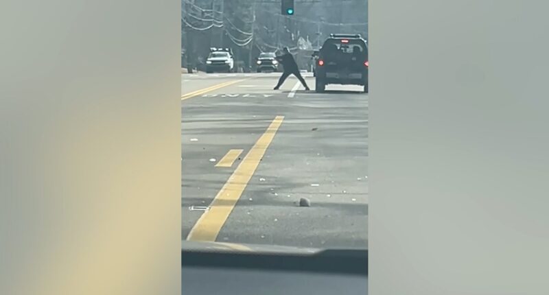 Police searching for ax-wielding suspect caught on camera attacking car in apparent road rage incident