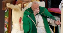 Pope rebukes Trump administration over migrant deportations, warns 'it will end badly'