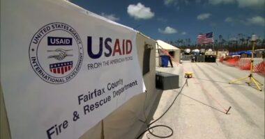 President Donald Trump's administration pulling almost all USAID workers off the job worldwide