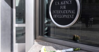 President Donald Trump's administration putting thousands of USAID staffers on leave and cutting US jobs