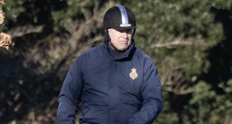 Prince Andrew was seen as 'valuable channel' by China and senior aide to the Duke of York was questioned by MI5 over links to alleged spy, papers reveal