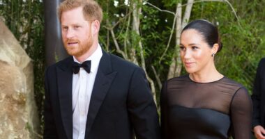 Prince Harry and Meghan Markle hire new head of communications days ahead of the release of the duchess's new Netflix show