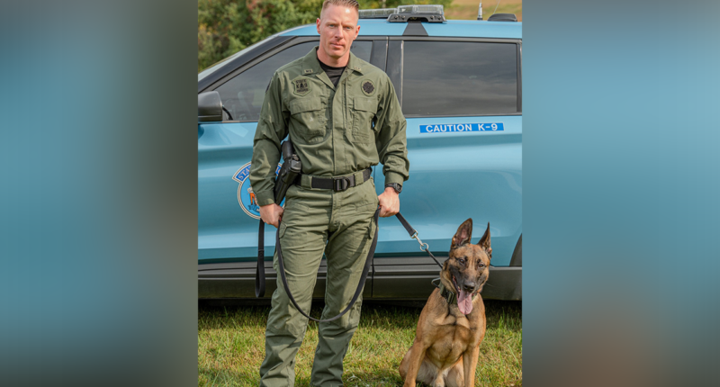 'Profound reminder' of courage: Maine police K-9 shot, killed in the line of duty