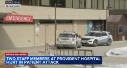 Provident Hospital stabbing today: Patient in custody after 2 hurt in emergency department in Bronzeville, Chicago, officials say