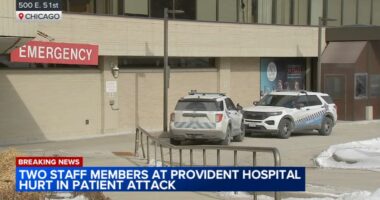 Provident Hospital stabbing today: Patient in custody after 2 hurt in emergency department in Bronzeville, Chicago, officials say