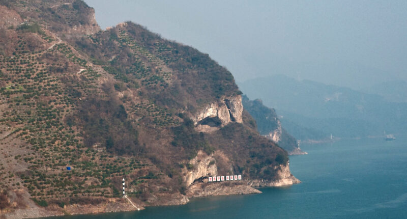 'Puppy Mountain' viral photo draws onlookers to a China riverside