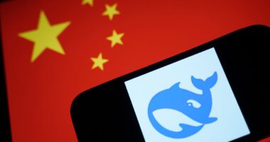 Push to ban DeepSeek from all US government-owned devices amid fears Chinese chatbot could collect vital data