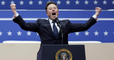 REVEALED: Elon Musk and DOGE's final goal as it launches blitzkrieg through the federal government