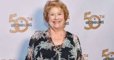 R.I.P. Lynne Marie Stewart: ‘It’s Always Sunny in Philadelphia’ and ‘Pee-wee’s Playhouse’ Actress Dead at 78