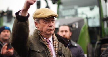 Reform will NOT do a deal with the Tories or Boris Johnson because they aren’t ‘honourable’, Nigel Farage blasts