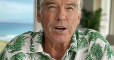 Revealed: The sinister story of how an AI deepfake of 007 star Pierce Brosnan has left an art gallery owner's world in tatters