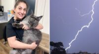 Rosanna Hashem killed by freak lightning strike in Sydney