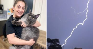 Rosanna Hashem killed by freak lightning strike in Sydney