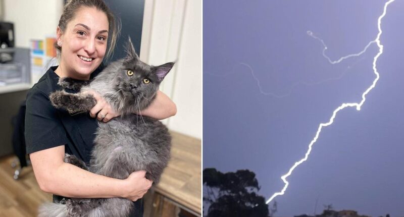 Rosanna Hashem killed by freak lightning strike in Sydney