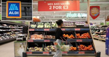 Sainsbury's and Tesco cut back on major schemes making prices cheaper as food inflation warning is sounded