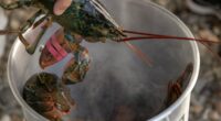 Scientists call for an immediate ban on boiling lobsters alive - as they confirm crustaceans CAN feel pain