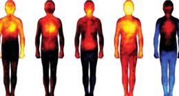 Scientists reveal exactly where different emotions impact your body - from fear to love and shame