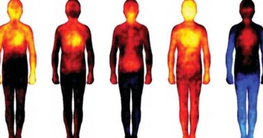 Scientists reveal exactly where different emotions impact your body - from fear to love and shame