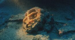 Shipwreck divers unravel mystery of ‘The Greek Titanic’ that sank killing 400 as shoes of the dead found on ocean floor