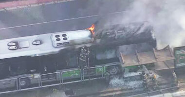 Shock moment plane smashes into busy road wiping out bus in fireball leaving two dead & 7 injured in Sao Paulo