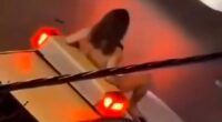 Shocking moment Iranian woman strips NAKED & leaps on cop car as she risks wrath of regime’s brutal ‘morality police’