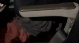 Shocking moment passenger is pinned down by flyers and tied up with shoelaces after SMASHING plane window