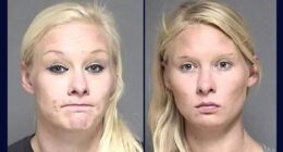 Sister admits to swapping places with twin after fatal crash