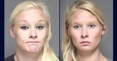 Sister admits to swapping places with twin after fatal crash