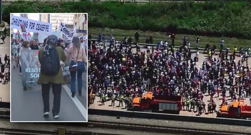 Social justice law professor defends anti-Israel protesters who blocked traffic to Chicago airport