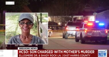 Son finds mom murdered by hammer-wielding stepbrother: Cops