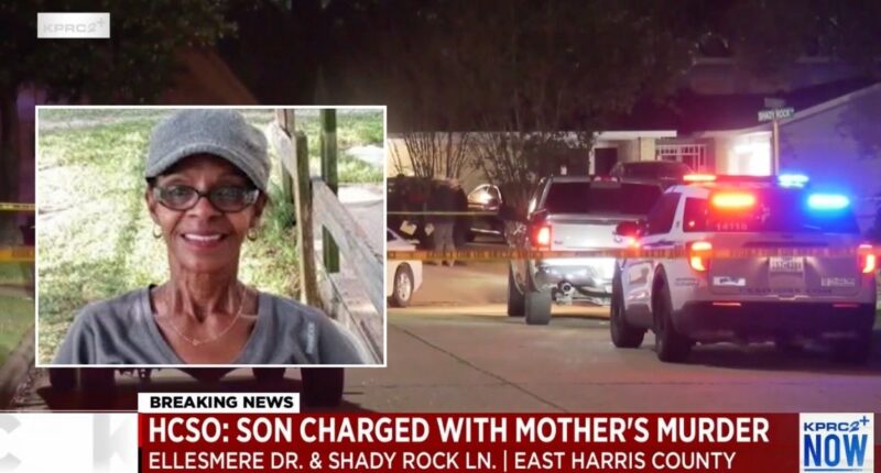 Son finds mom murdered by hammer-wielding stepbrother: Cops