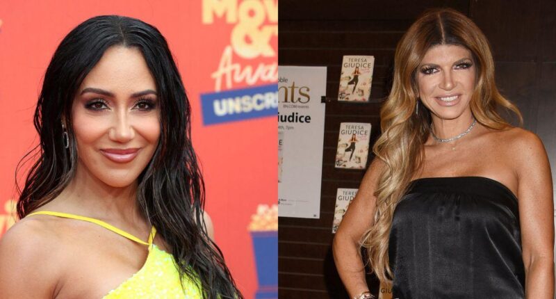 Sources Claim Bravo 'Is Stalling' Regarding The Next Season Of 'RHONJ'