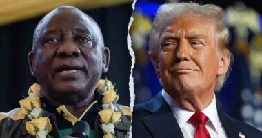 South Africa hits back at Trump’s claim that it is ‘confiscating land,' as US aid to country threatened