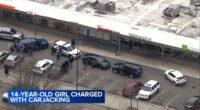 South Loop, Chicago carjacking: Teen charged in carjacking, kidnapping of woman, baby in 400-block of West Harrison Street