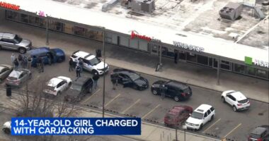 South Loop, Chicago carjacking: Teen charged in carjacking, kidnapping of woman, baby in 400-block of West Harrison Street