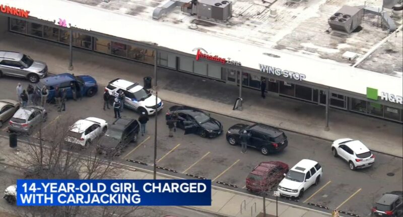 South Loop, Chicago carjacking: Teen charged in carjacking, kidnapping of woman, baby in 400-block of West Harrison Street