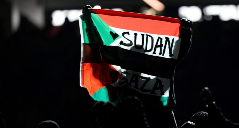 Super Bowl halftime performer detained after unfurling Sudanese-Palestinian flag