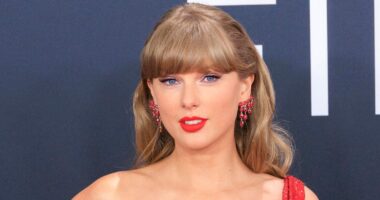 Taylor Swift's Fans Say It's 'Sad' The Billionaire Singer Needs A Bodyguard With Her In The Bathroom