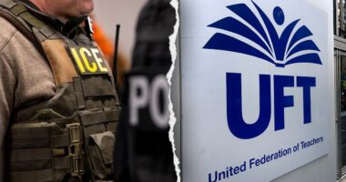 Teachers' union heard coaching migrants evading ICE despite Homan's warning to Democrat leaders